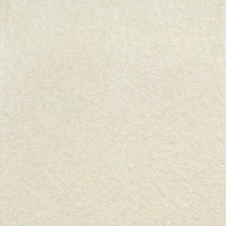 バルセNo.40　アリゾナ